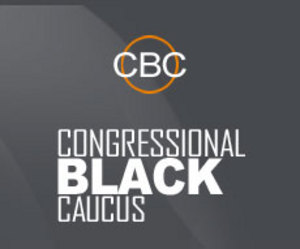 congressional caucus obama president thyblackman barack solid ground race members fire cbc hurt immigration blacks struggles question racist re both