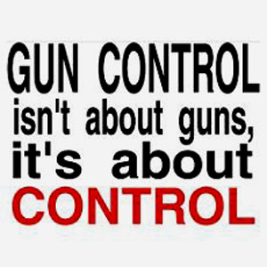 gun-control-poster