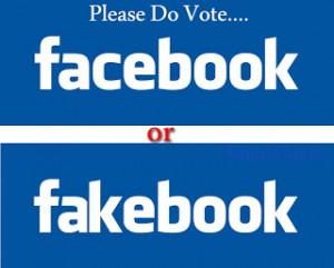 FacebookOrFakebook-2013