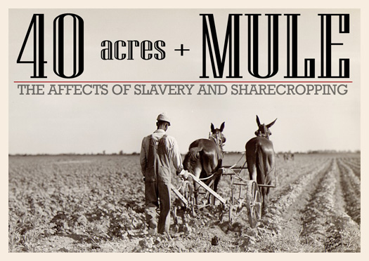 40 acres African-Americans