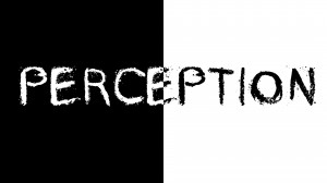 PERCEPTION-2014