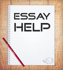 help my essay