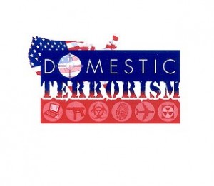 domestic-terrorism-graphic-2015