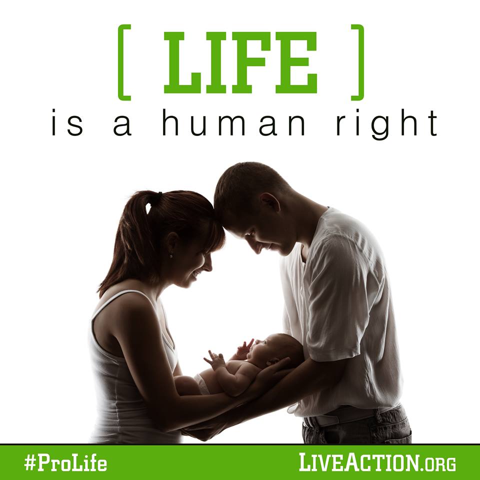 Ridis вектор. картинка right and responsibility. Right картинки. логотип жизнь. Right to life.