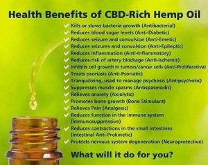 The Health Benefits Of Cbd Oil For Women – Green Child … Things To Know Before You Buy
