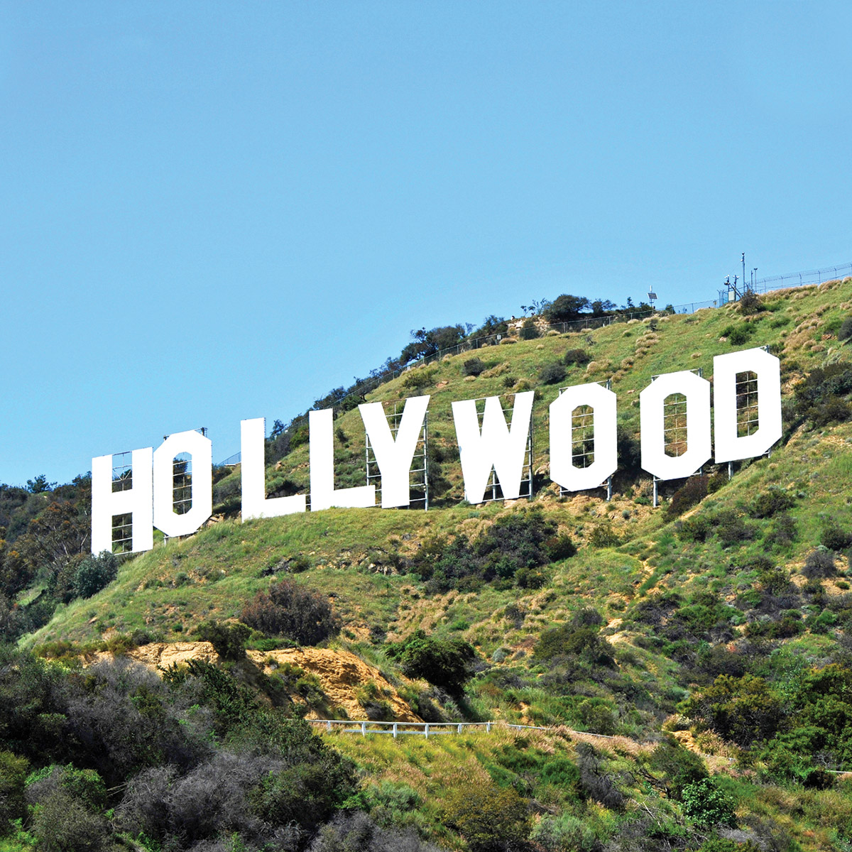 Destroy Woke Hollywood / Hollyweird. : ThyBlackMan.com