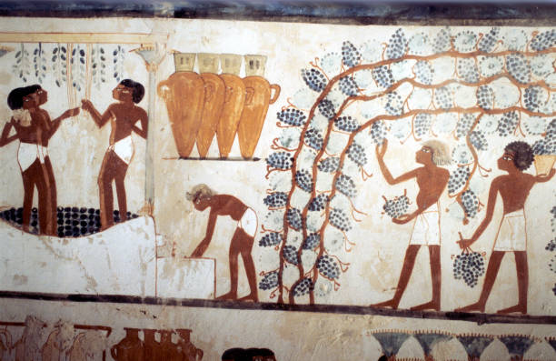 Resisting the De-Africanizing of Ancient Egypt 