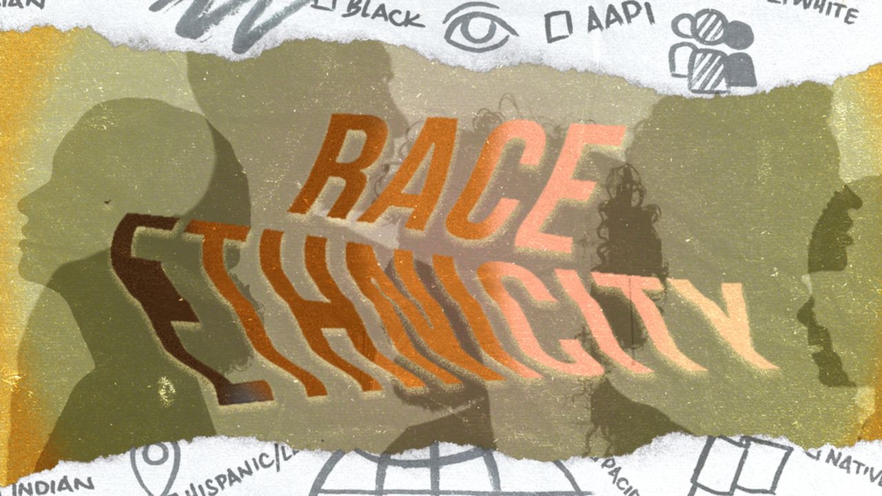 Black Americans and White Americans: How Little We Know About Race.