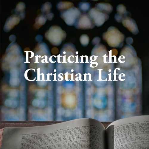 Devout Christians: A Practicing Christian.