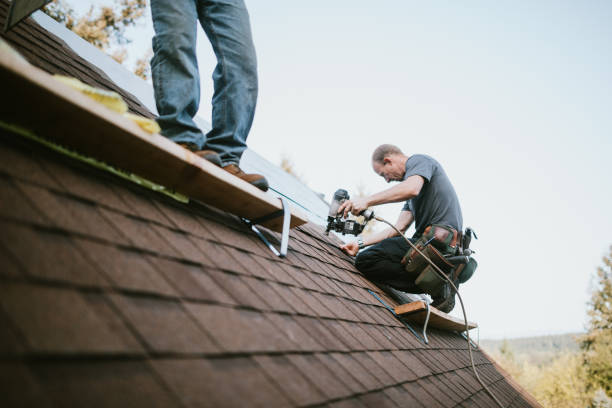 The Roofing Renaissance: Unveiling the Secrets of Roof Contractors.
