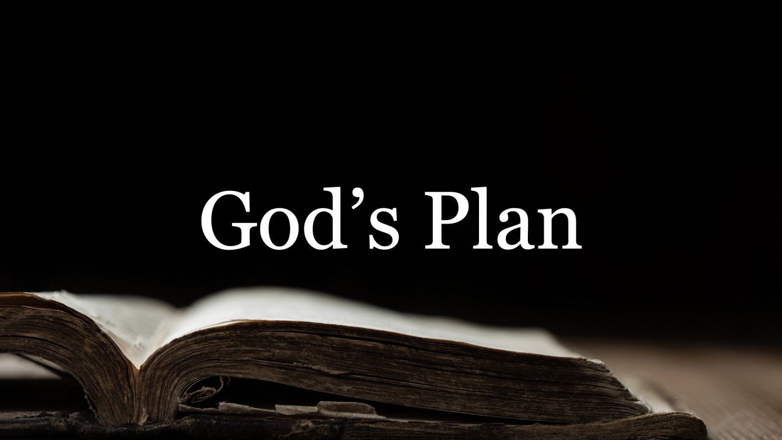 Devout Christians: The Power of Choice - Understanding God's Plan for Humanity and Free Will.