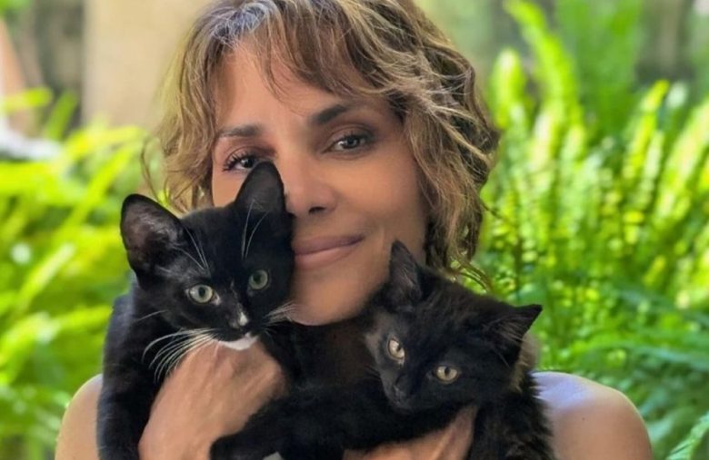 Halle Berry Still Iconic as Catwoman 20 Years Later A Look Back at Her(01)